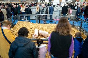 Illustration of the Agricultural Show - Paris AJ