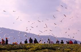 Dianchi Lake in Kunming