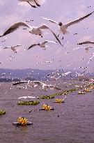 Dianchi Lake in Kunming