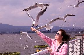 Dianchi Lake in Kunming