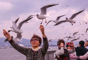 Dianchi Lake in Kunming