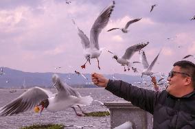 Dianchi Lake in Kunming