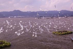 Dianchi Lake in Kunming