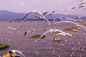 Dianchi Lake in Kunming