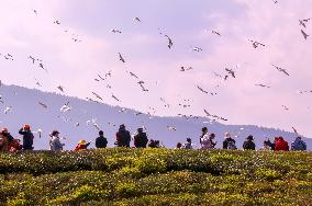 Dianchi Lake in Kunming
