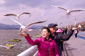 Dianchi Lake in Kunming