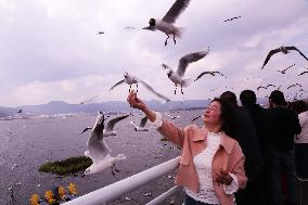 Dianchi Lake in Kunming