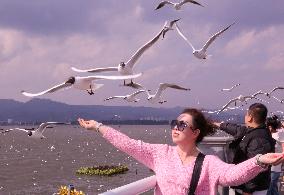 Dianchi Lake in Kunming