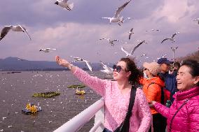 Dianchi Lake in Kunming