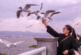 Dianchi Lake in Kunming