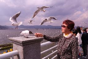 Dianchi Lake in Kunming