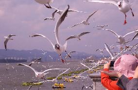Dianchi Lake in Kunming