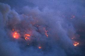 Forest fire in northeastern Japan
