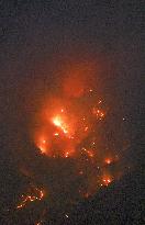 Forest fire in northeastern Japan