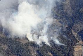 Forest fire in northeastern Japan