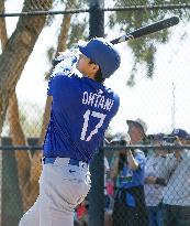 Baseball: MLB spring training