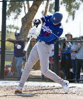 Baseball: MLB spring training