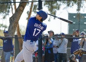 Baseball: MLB spring training