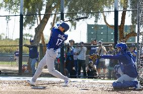 Baseball: MLB spring training