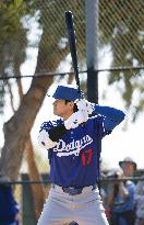 Baseball: MLB spring training