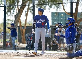 Baseball: MLB spring training