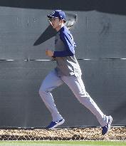 Baseball: MLB spring training