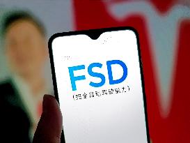 Tesla FSD landed in China