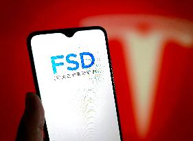 Tesla FSD landed in China