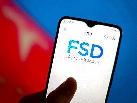 Tesla FSD landed in China