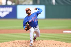 Spring Training Mets Vs. Marlins
