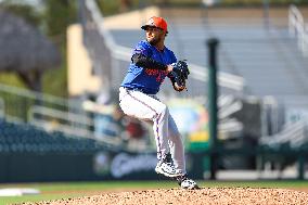 Spring Training Mets Vs. Marlins