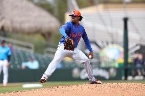 Spring Training Mets Vs. Marlins