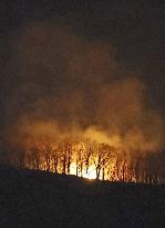 Forest fire continues in northeastern Japan