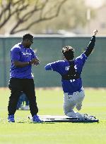 Baseball: MLB spring training