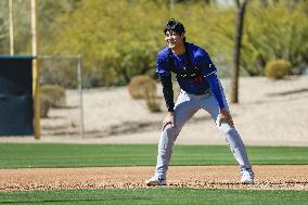 Baseball: MLB spring training