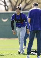 Baseball: MLB spring training
