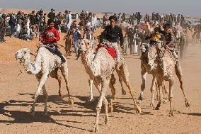 Camel Racing Festival - Egypt