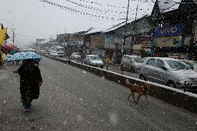 Snowfall In Kashmir