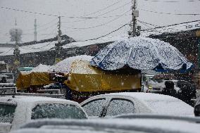 Snowfall In Kashmir