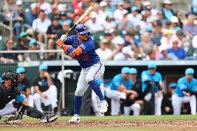 Spring Training: Mets Vs. Marlins