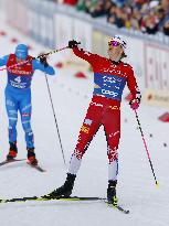 Skiing: Nordic Skiing World Championships