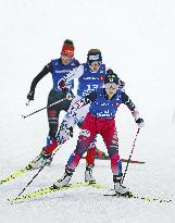 Skiing: Nordic Skiing World Championships