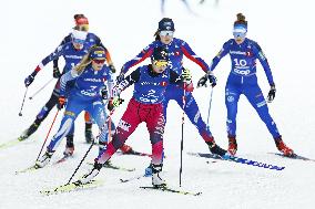 Skiing: Nordic Skiing World Championships