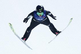 Skiing: Nordic Skiing World Championships