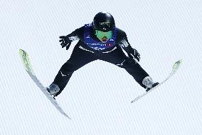 Skiing: Nordic Skiing World Championships