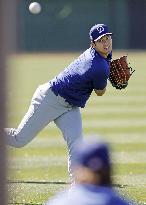 Baseball: MLB spring training