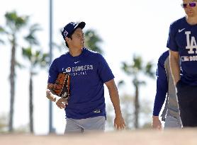 Baseball: MLB spring training