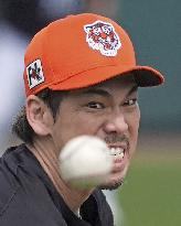 Baseball: MLB spring training