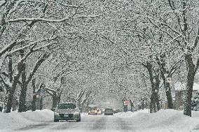 Heavy Snow Falling In Toronto, Canada