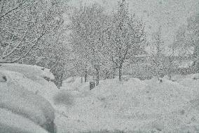 Heavy Snow Falling In Toronto, Canada